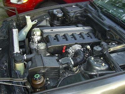 SA4000391.JPG