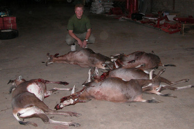 jagd.jpg