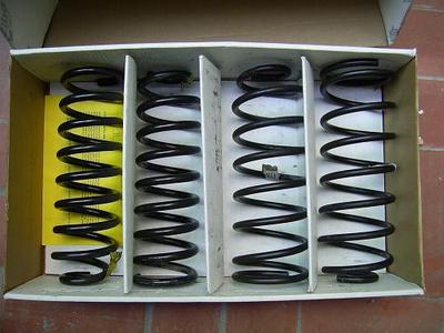 MUELLES TRANS AM 001.jpg