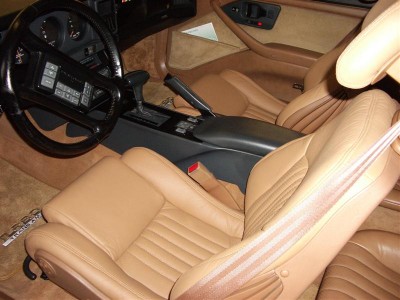 IMGP2059 (Medium) (2).JPG