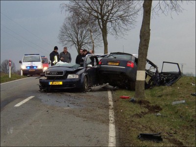 bild1.jpg
