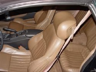 trans am 7.jpg