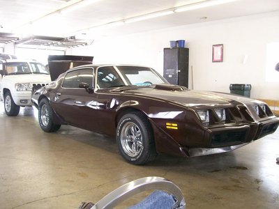 trans am 4.jpg