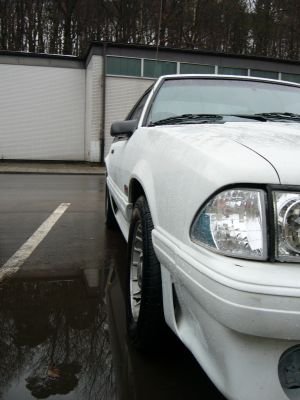 white 90 021.jpg