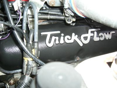beast 004.jpg