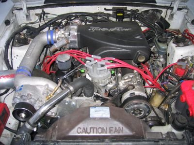 white 90 014.jpg